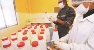 Requieren Empacadores de Yogurt para empresas.